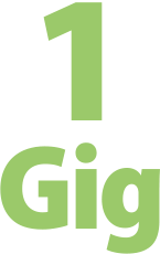1 Gig