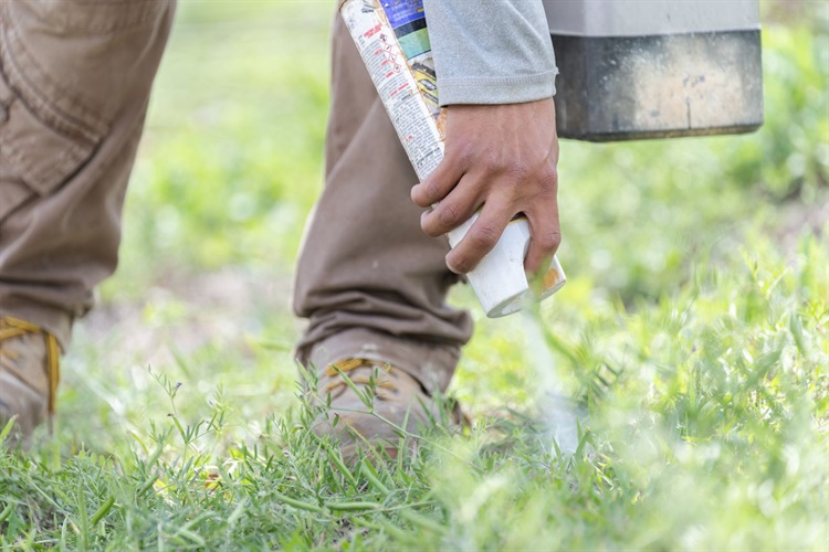 Ready for Spring Yard Projects? Kill Your Weeds, Not Your Wi-Fi